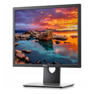 dell P1917s